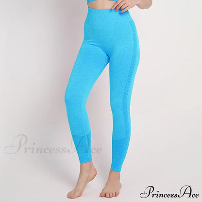 Seamless Workout Legging