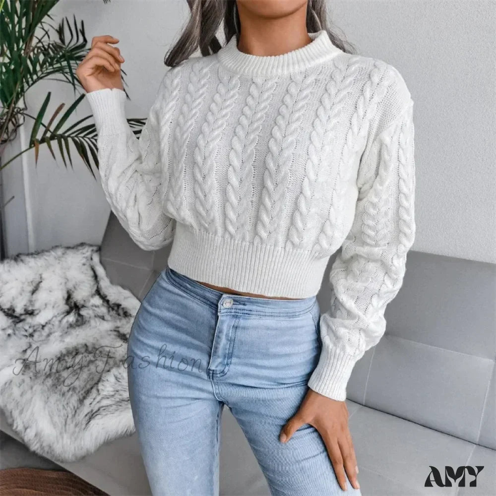 Women Solid Color Twisted Knitted Autumn Winter Fashion Long Sleeve Slim Fit Sweater